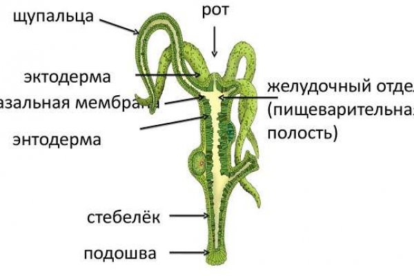 Кракен магазин тор