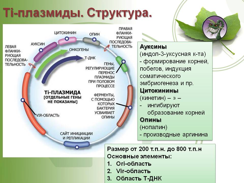 Ссылки на кракен зеркала