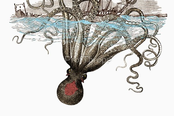 Kraken настоящая ссылка