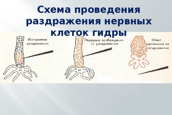 Кракен ссылка онион зеркало