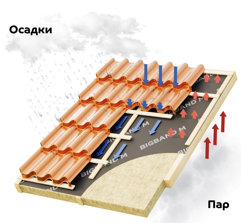 Кракен ссылки krakenwebs org